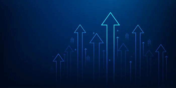 Achieving Business Process Excellence