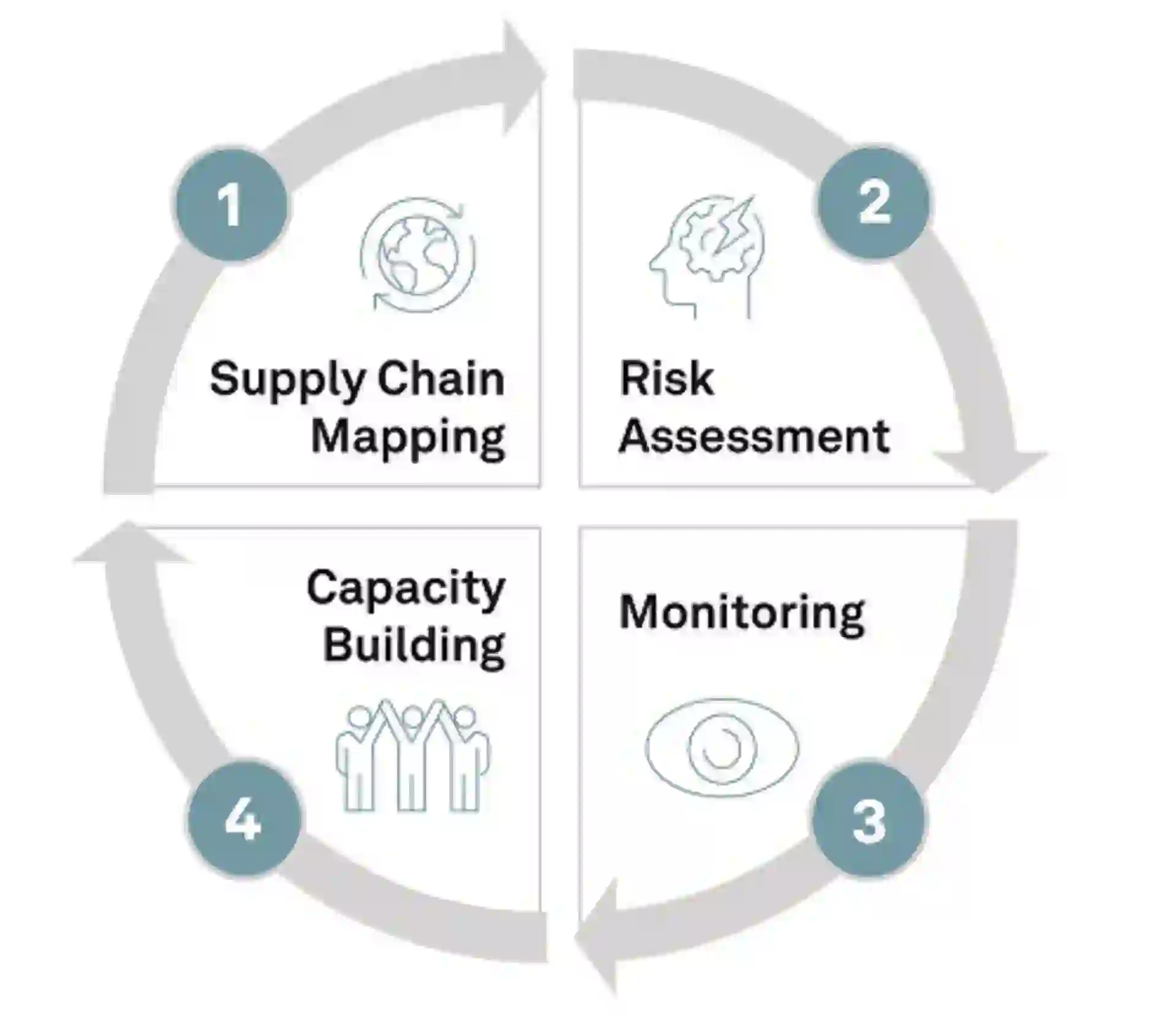 Grafik mit vierstufigem Kreismodell zur Lieferkettentransparenz: 1. Supply Chain Mapping, 2. Risk Assessment, 3. Monitoring, 4. Capacity Building.