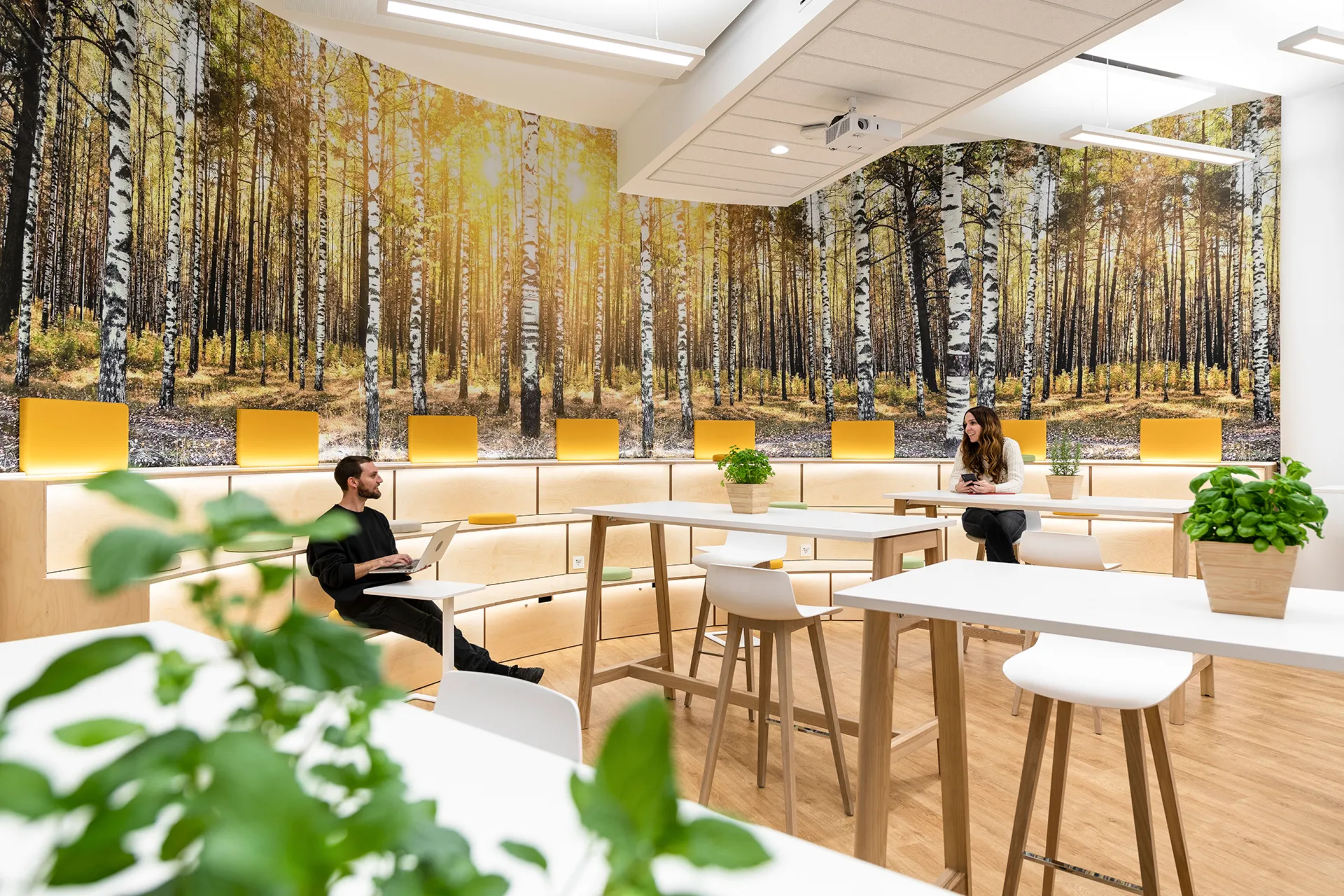 Bright, modern Frankfurt office featuring a large nature-themed wall, high tables, tiered seating and plants, with two people working in a relaxed atmosphere.
