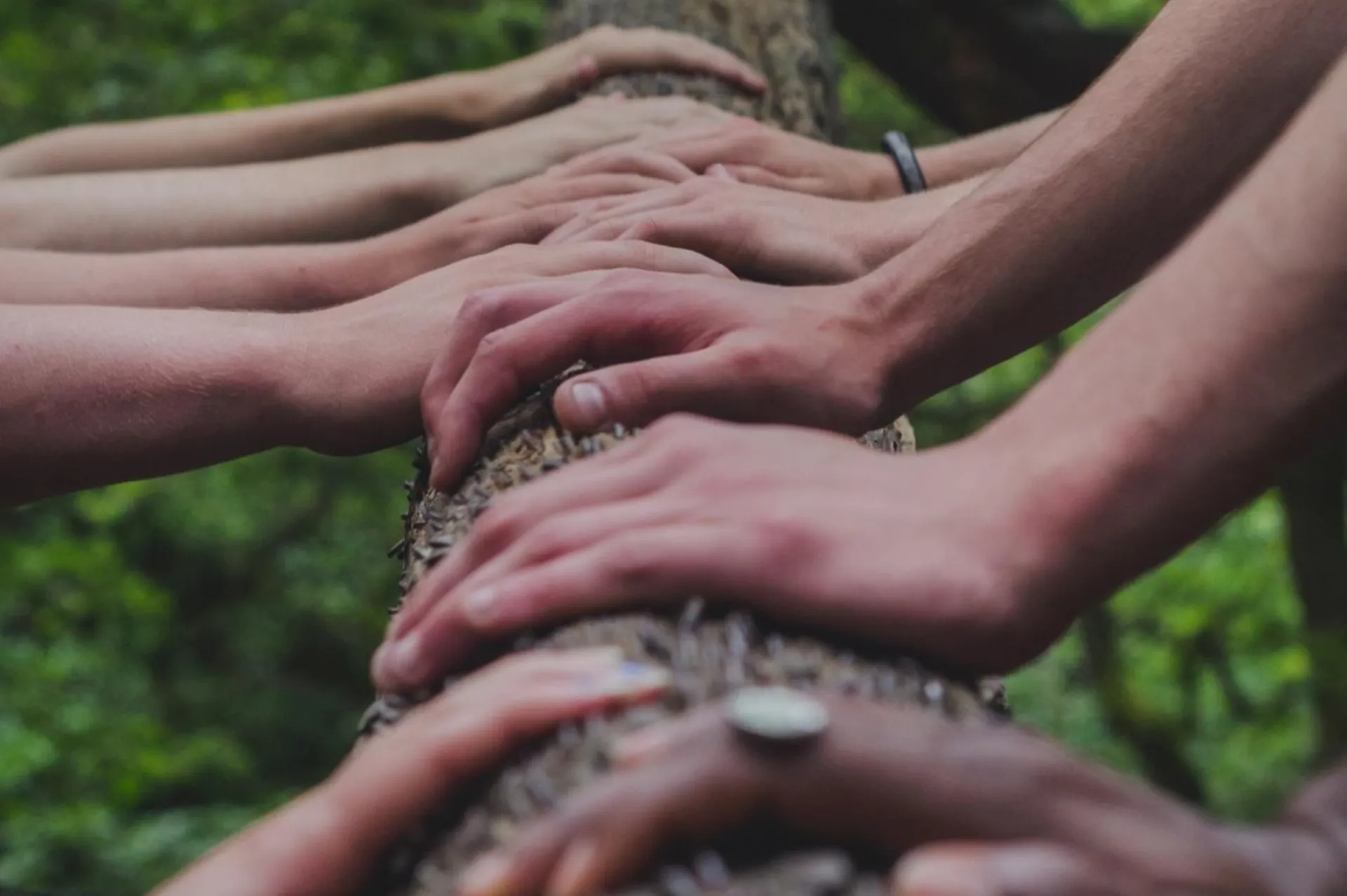 Symbolic image of corporate values Caring – Several hands resting together on a tree trunk