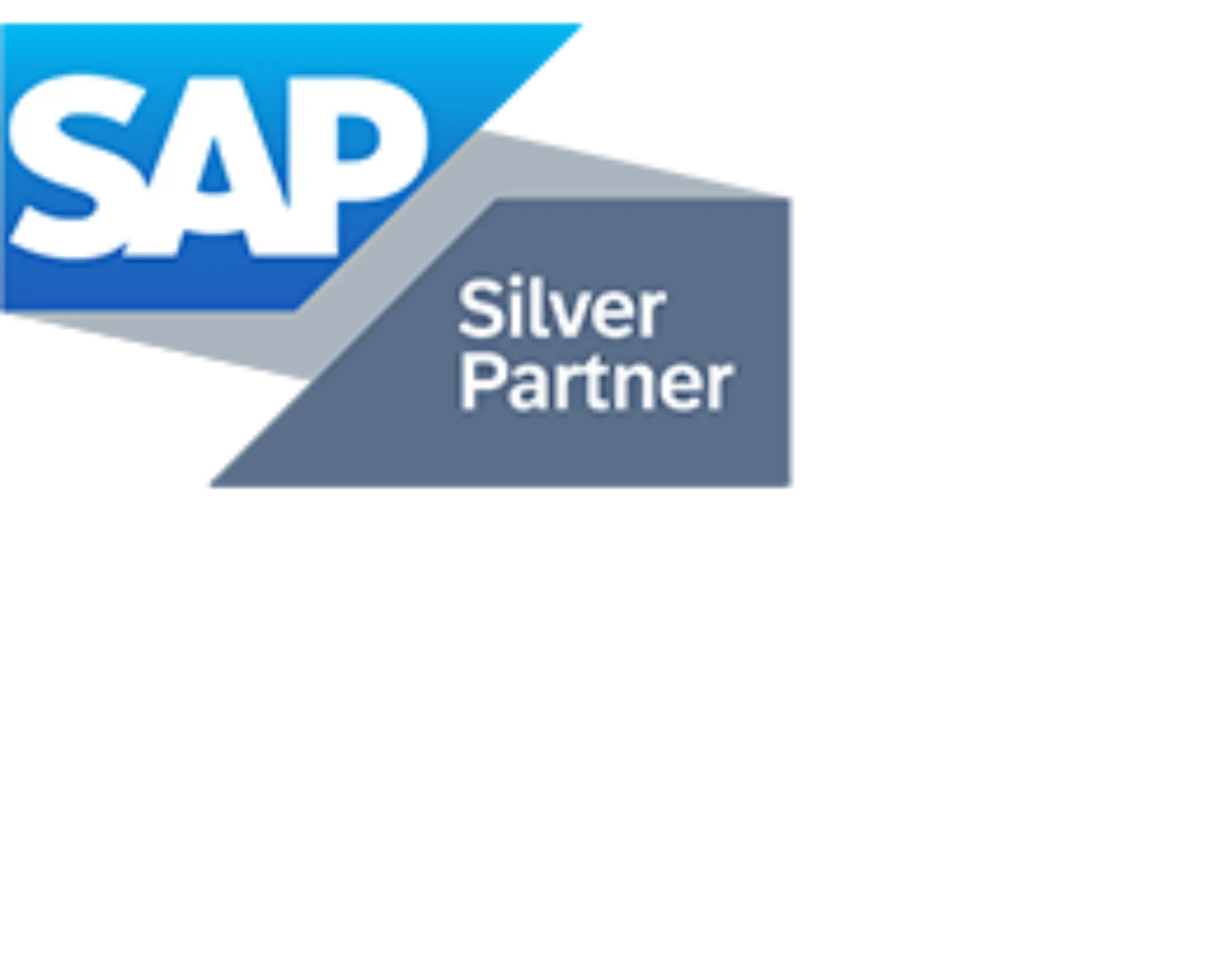 sap-silver-partner-260x115