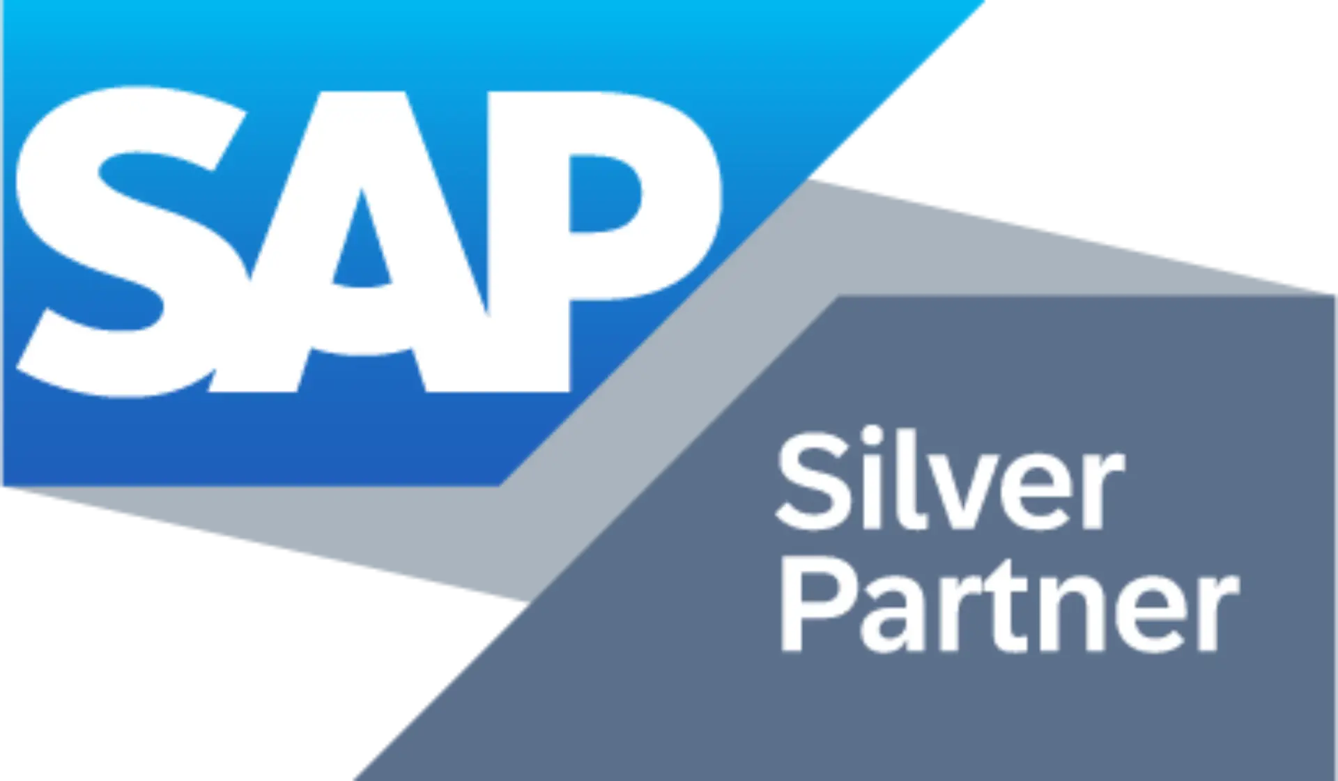 SAP Silver Partner Batch