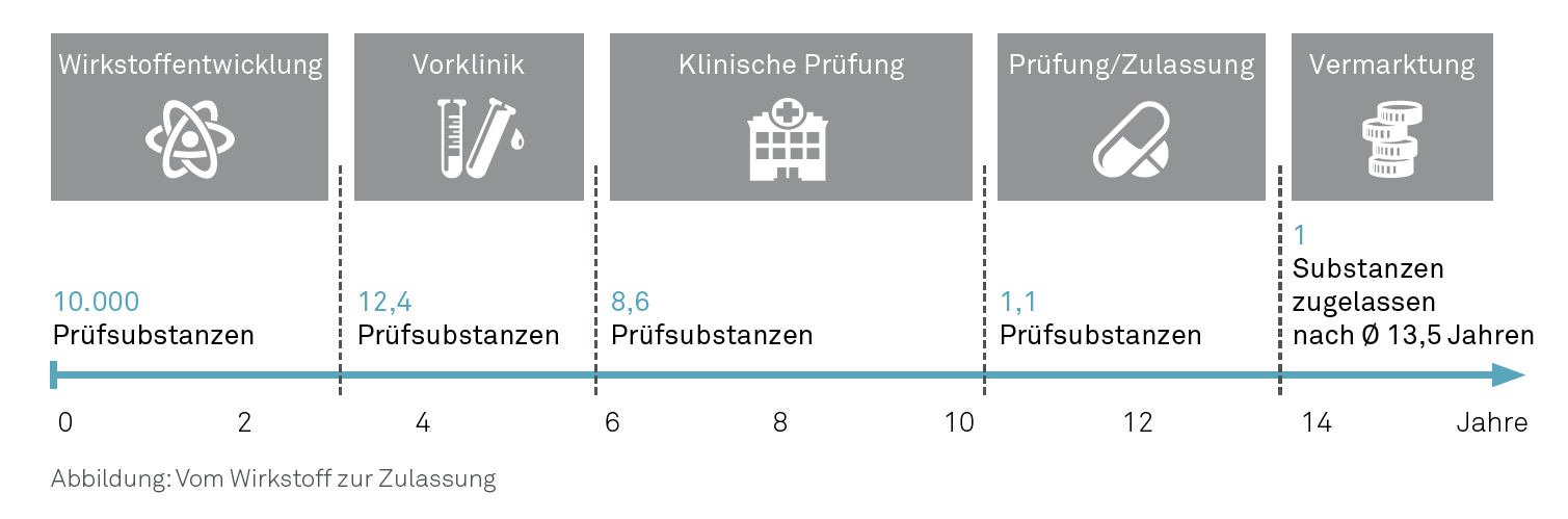 Vom Wirkstoff zur Zulassung